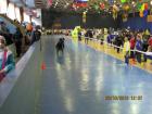 Img 64891