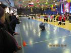 Img 64991